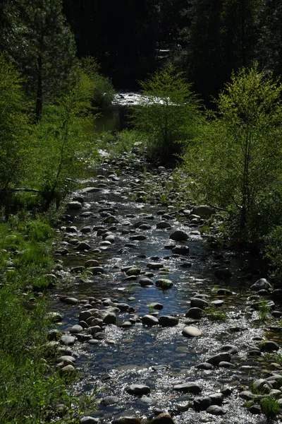 DSC_4285 (Large).JPG